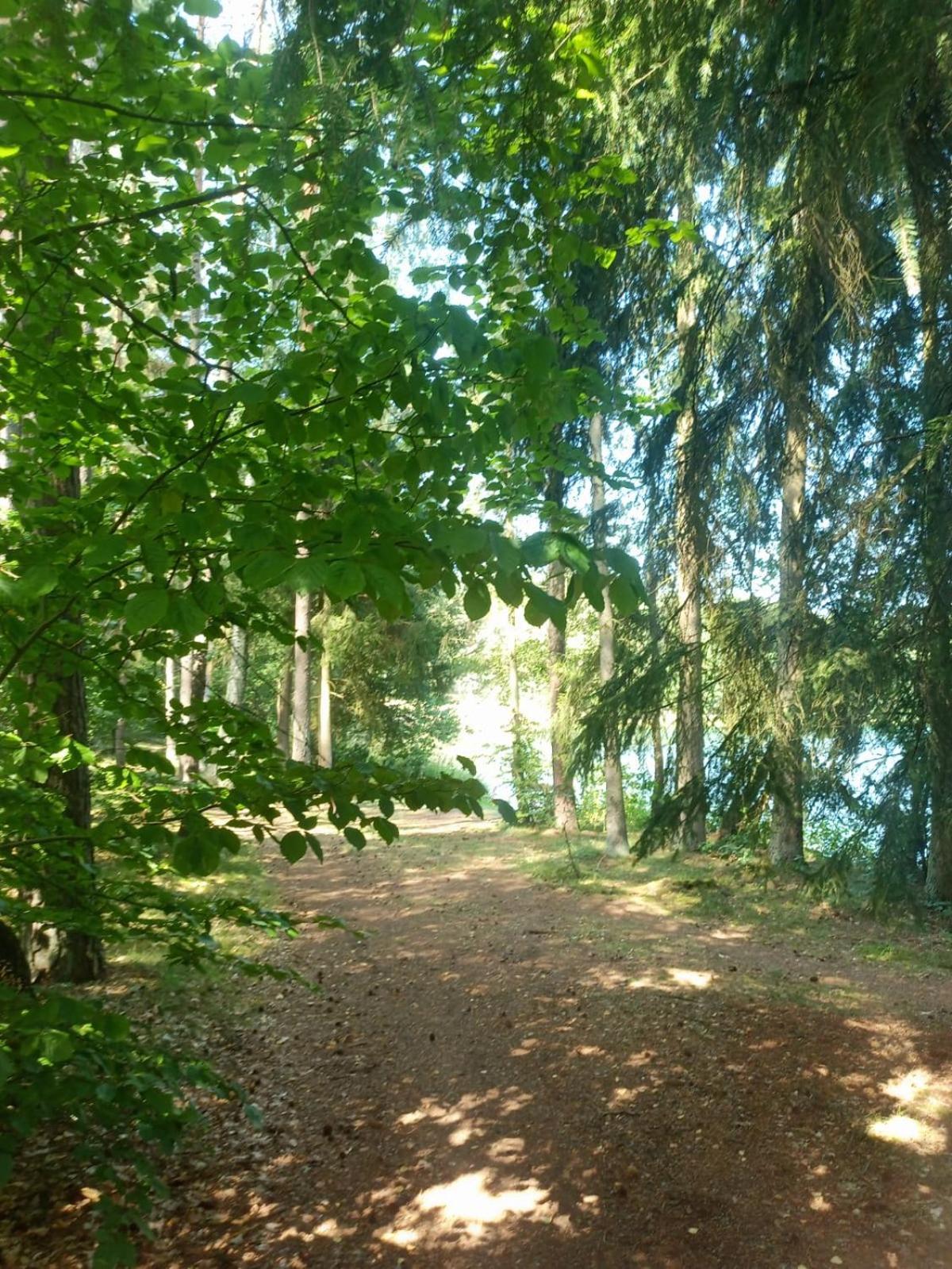 Domek Na Kaszubach, Borowy Mlyn, Jezioro Gwiazda, Sauna, 3 Exterior foto