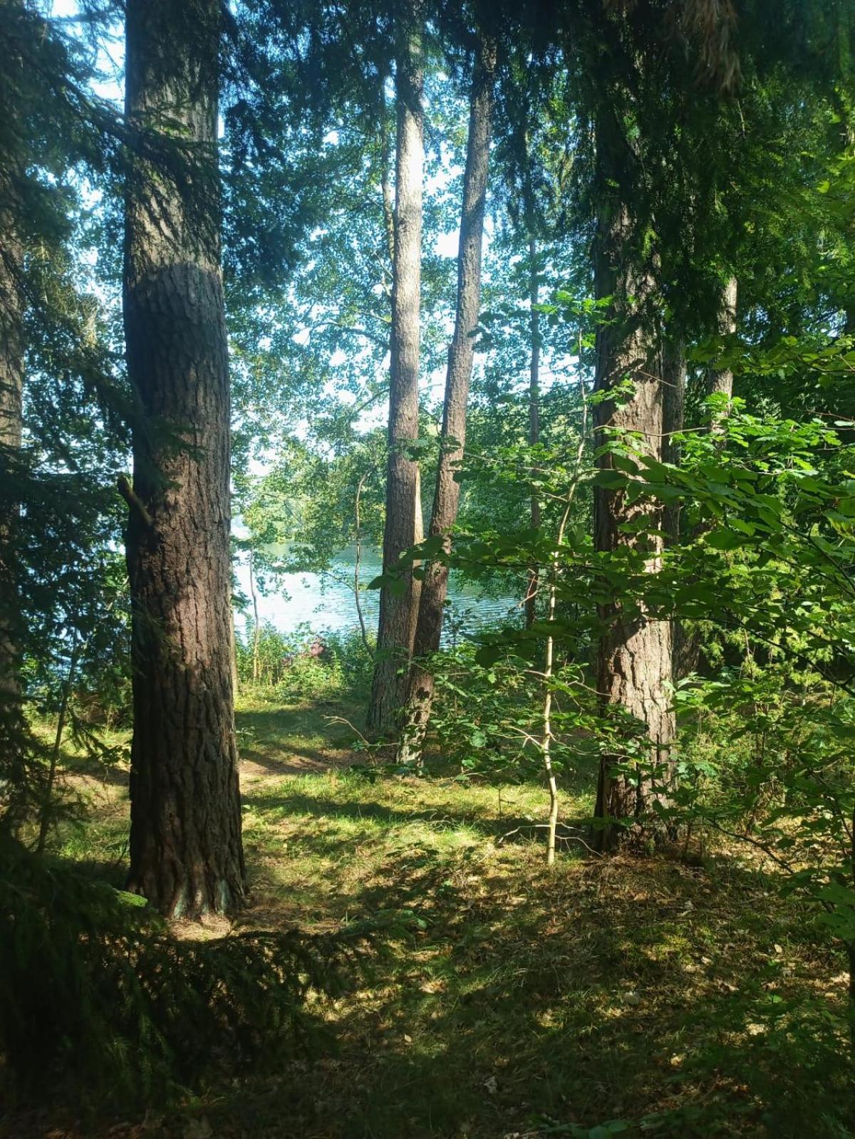 Domek Na Kaszubach, Borowy Mlyn, Jezioro Gwiazda, Sauna, 3 Exterior foto